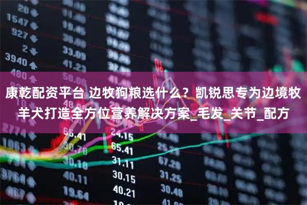 康乾配资平台 边牧狗粮选什么？凯锐思专为边境牧羊犬打造全方位营养解决方案_毛发_关节_配方